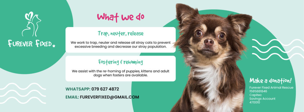 Donate to Furever Fixed