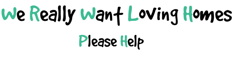 Help us find our Furever Homes