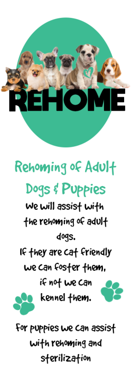Rehome Dogs and Puppies
