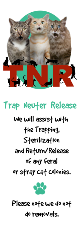 TNR
